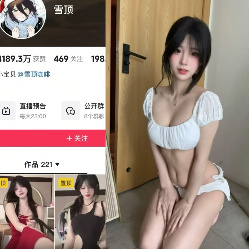 雪顶 岛遇清冷氛围感博主 温柔高级感创作者-御萝部落