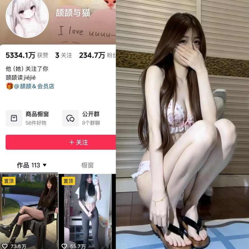 颉颉与猫 趣岛温柔恬静慵懒治愈氛围感宝藏博主-御萝部落
