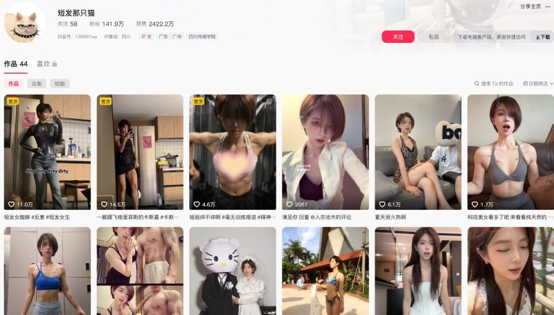 短发那只猫—岛遇图片视频合集【持续更新】-御萝部落
