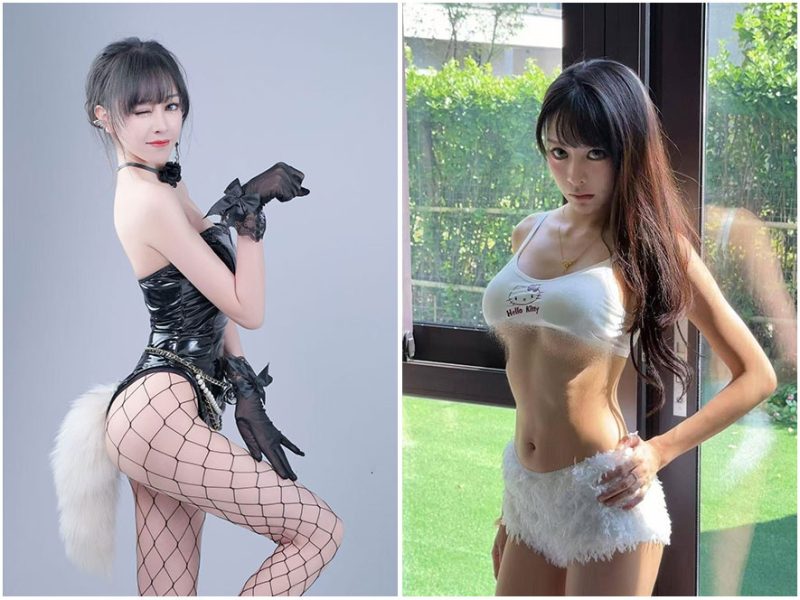 抖音人间小奶猫岛遇资源合集下载-御萝部落