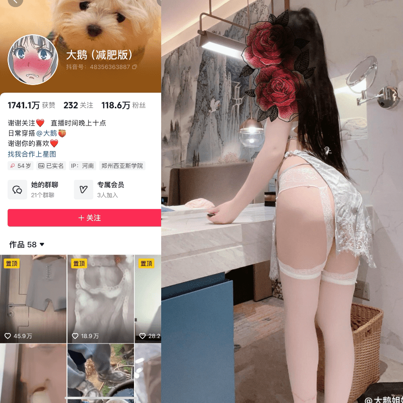 抖音大鹅gaga微密圈合集【382P 68V】-御萝部落