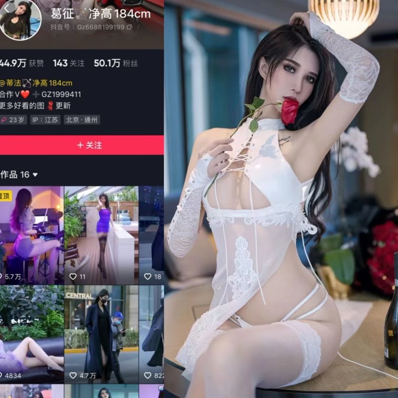 抖音葛征（葛征GEZHENG）微密圈合集【6513P 110V 14.7G】-御萝部落