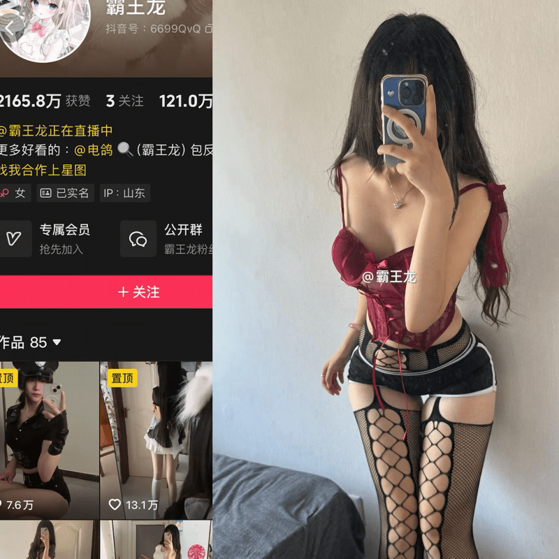 抖音霸王龙(霸王龙秘密基地)微密圈合集【238P 12V】