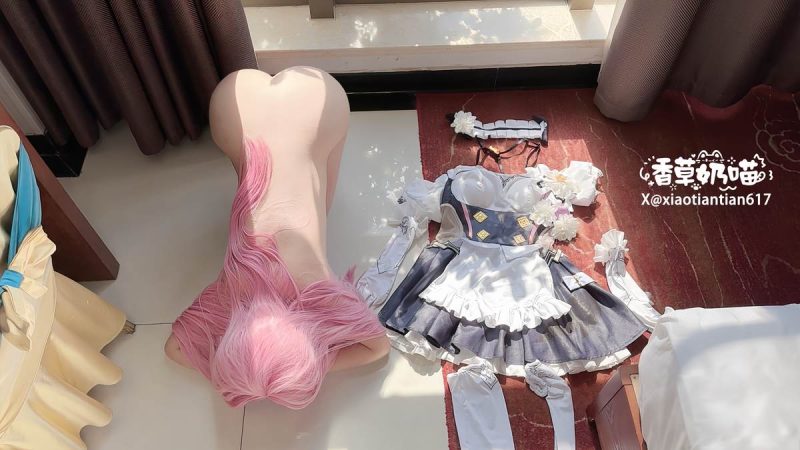 香草奶喵 – 爱莉希雅女仆：角色主题写真视频合集 93P29V-御萝部落