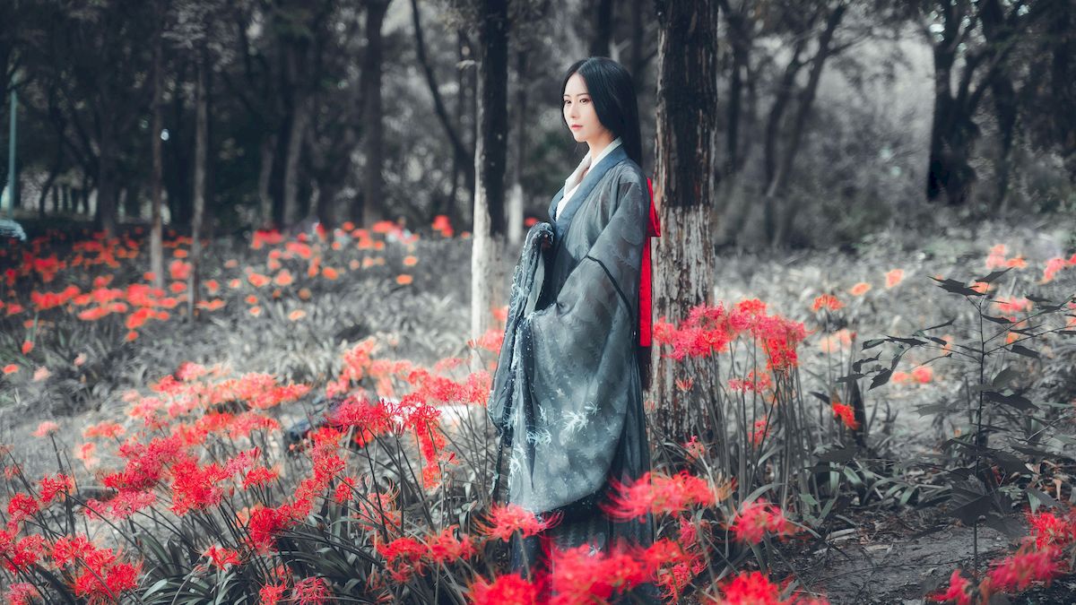古典美女野外彼岸花丛中身着汉服 让人沉醉其中-御萝部落