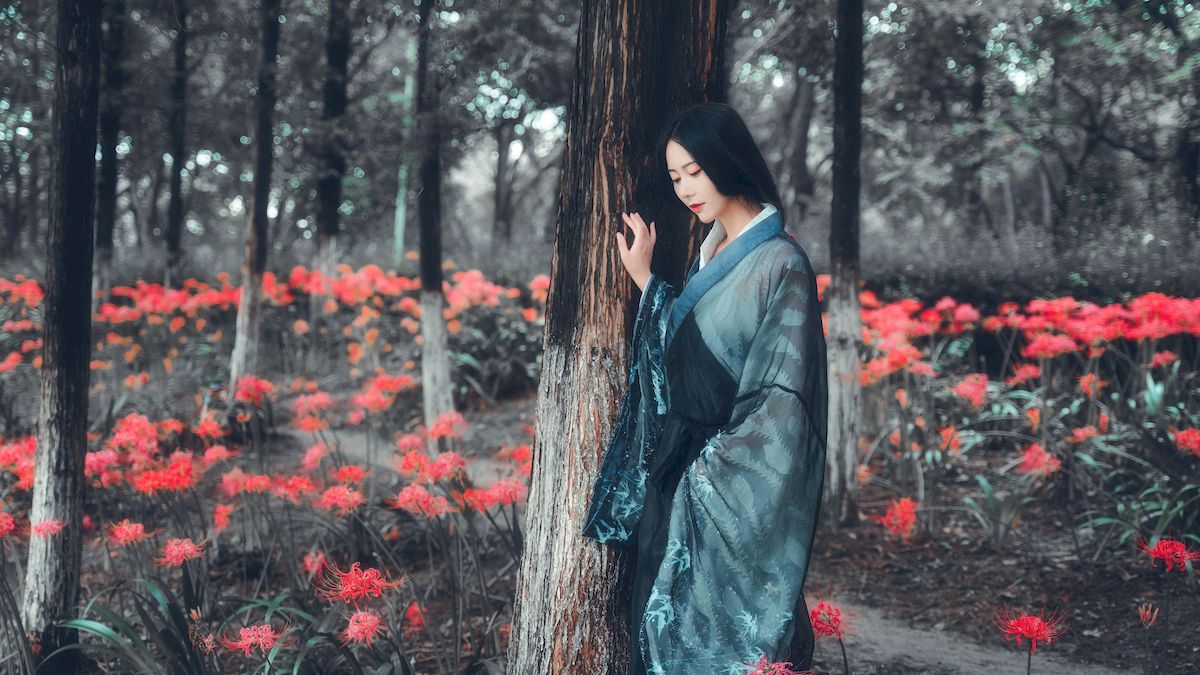 古典美女野外彼岸花丛中身着汉服 让人沉醉其中-御萝部落