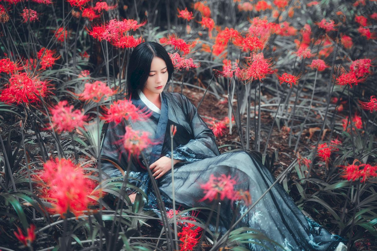 古典美女野外彼岸花丛中身着汉服 让人沉醉其中-御萝部落