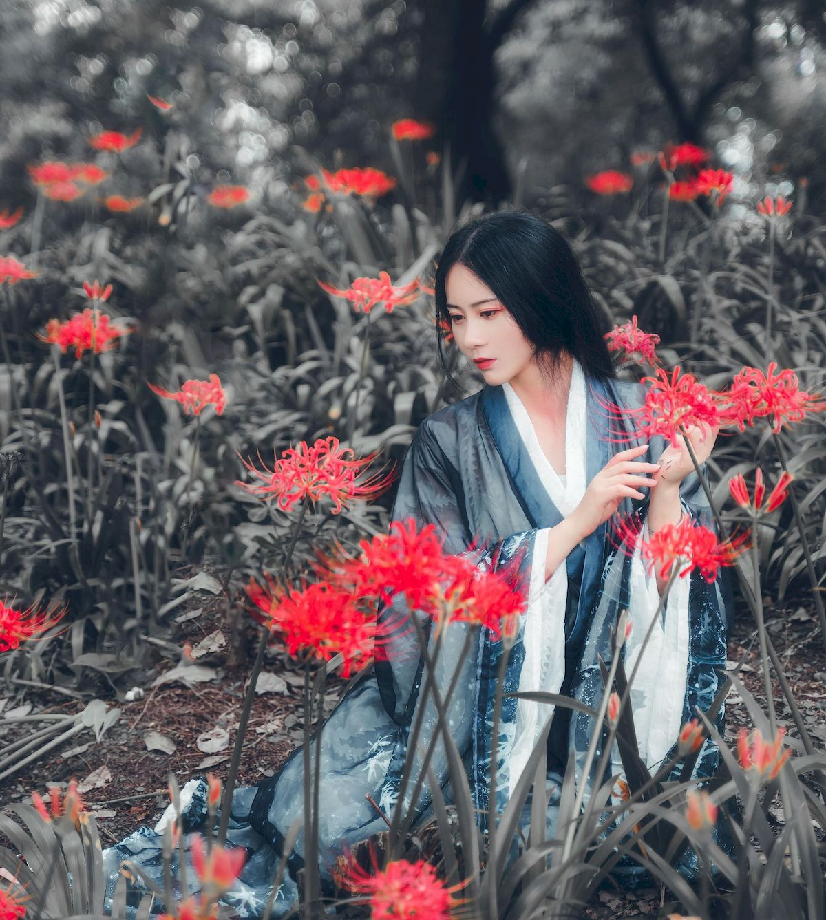古典美女野外彼岸花丛中身着汉服 让人沉醉其中-御萝部落