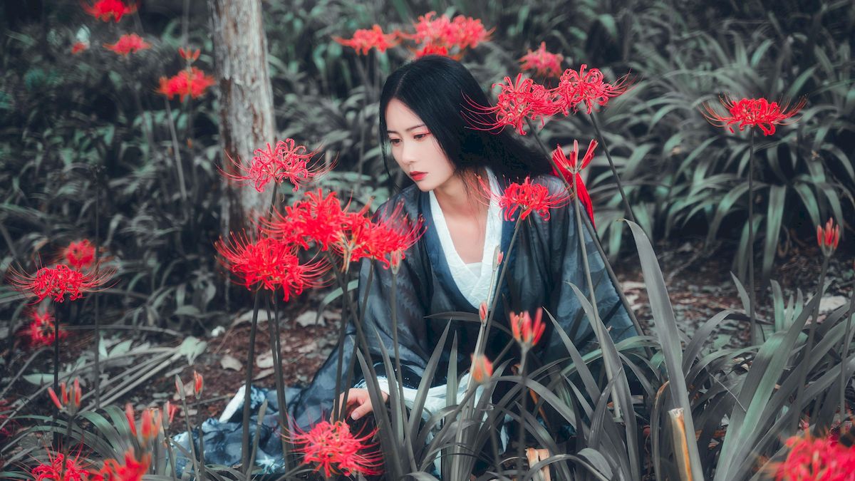 古典美女野外彼岸花丛中身着汉服 让人沉醉其中-御萝部落