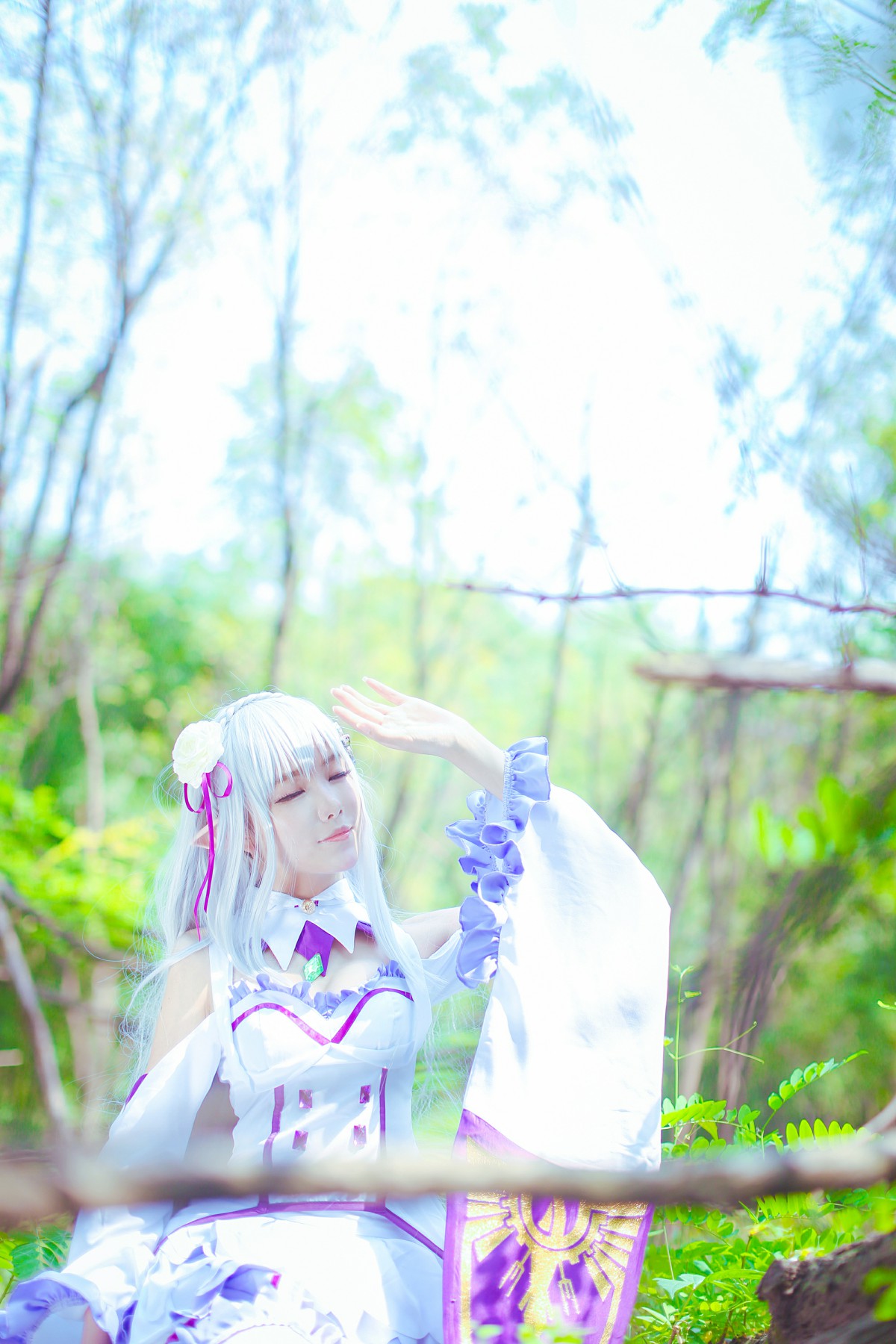 [Cosplay]从零开始的异世界生活 艾米莉娅 精美Cos – COSPLAY
