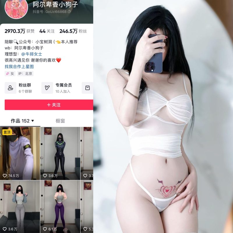 【更新】抖音阿尔卑香小狗子微密圈嘉宾贴合集【1225P 45V】-御萝部落