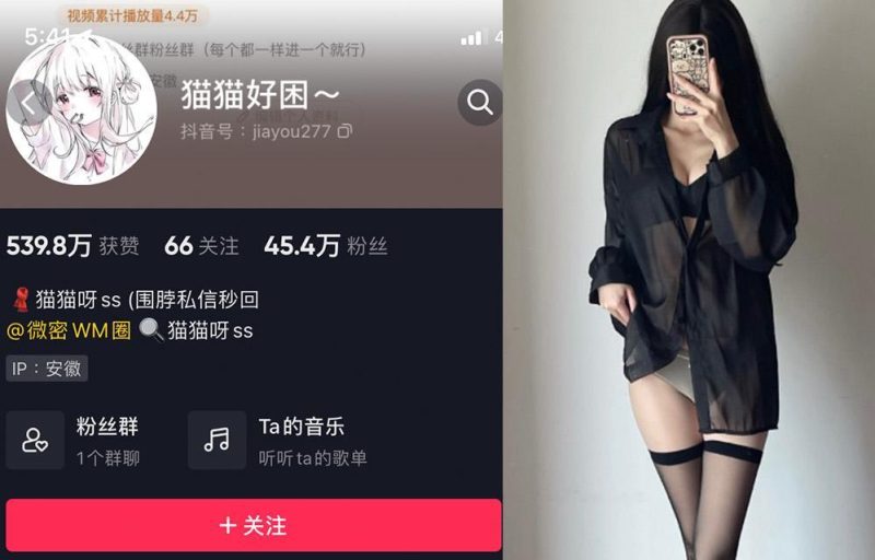 猫猫好困—微密图片视频合集【持续更新】-御萝部落